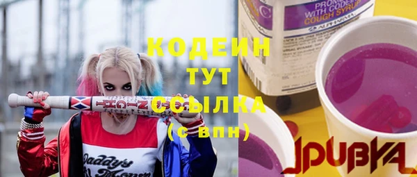 apvp Верея