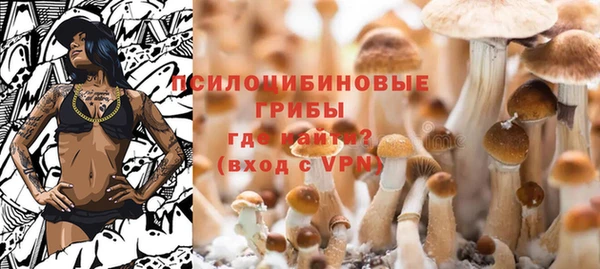 мяу мяу мука Бородино