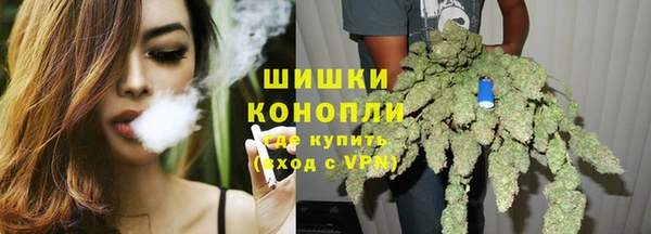 дурь Рославль